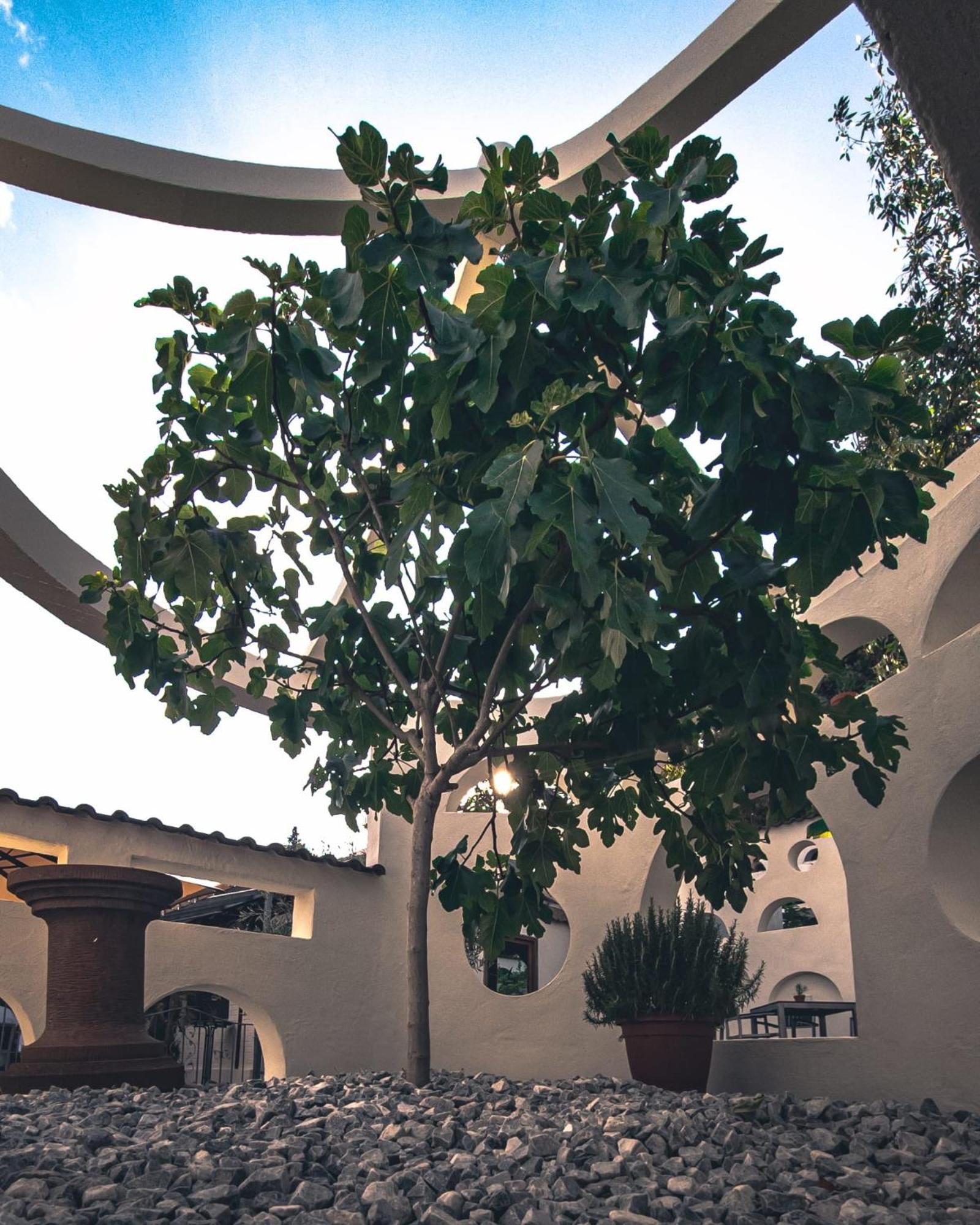 Hotel Schuetz ترير المظهر الخارجي الصورة