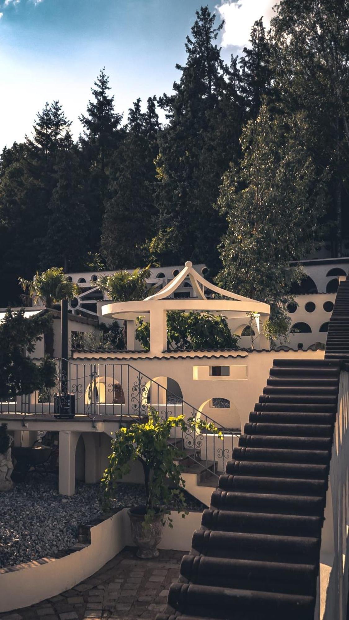 Hotel Schuetz ترير المظهر الخارجي الصورة
